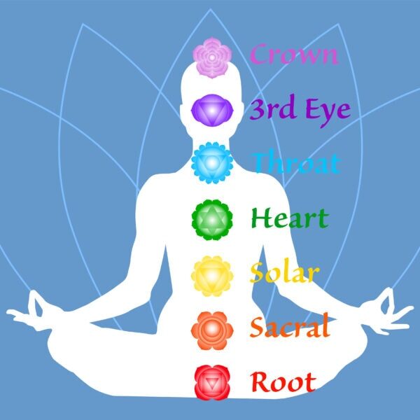 The seven chakra names map. Famale body in lotus yoga asana on blue petals background. Root, Sacral, Solar, Heart, Throat, 3rd Eye, Crown chakras. Drawing Vector illustration eps 10